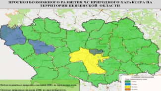 Высокая пожароопасность прогнозируется в Пензенском районе 18 июня