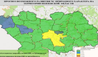 Высокая пожароопасность прогнозируется в Пензенском районе 18 июня