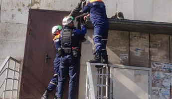 Пензенские спасатели сняли с козырька подъезда пожилого мужчину