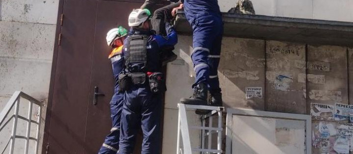 Пензенские спасатели сняли с козырька подъезда пожилого мужчину Пензенские спасатели сняли с козырька подъезда пожилого мужчину