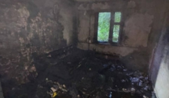 Пензенский СК начал проверку по факту гибели молодой девушки на улице Вадинской