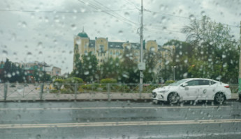 Какая погода ожидается в Пензенской области 24 июня?