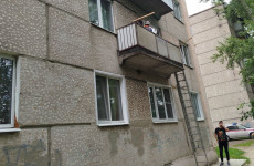 В Пензе на помощь котенку приехали спасатели и полицейские