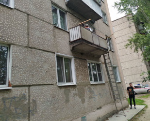 В Пензе на помощь котенку приехали спасатели и полицейские