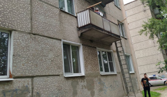 В Пензе на помощь котенку приехали спасатели и полицейские