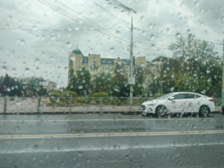Первый день июля не порадует пензенцев хорошей погодой