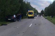 Под Пензой насмерть сбили ребенка