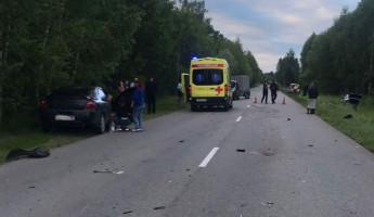 Под Пензой насмерть сбили ребенка