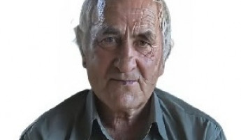 В лесах под Пензой пропал без вести 75-летний пенсионер