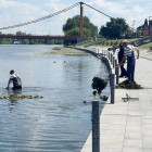 В центре Пензы провели очистку Суры от водорослей