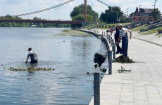 В центре Пензы провели очистку Суры от водорослей