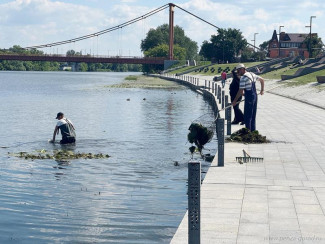 В центре Пензы провели очистку Суры от водорослей