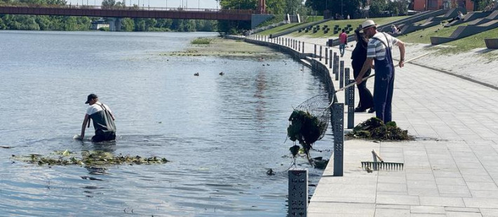 В центре Пензы провели очистку Суры от водорослей В центре Пензы провели очистку Суры от водорослей