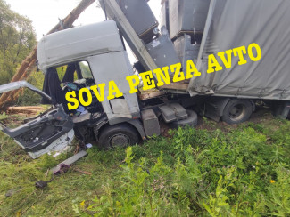 Жесткое ДТП в Пензенской области: фура проложила новую дорогу в лесу