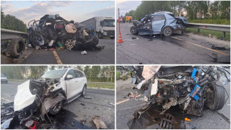 В массовом ДТП в Спасском районе Пензенской области погибли два человека
