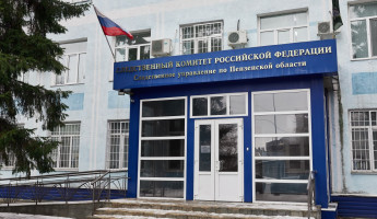 В Пензенской области мигрант напал на 17-летнюю школьницу