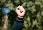 В Пензенском районе брат травмировал родственника камнем