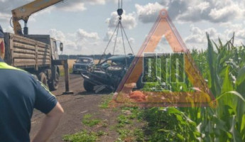 Скончался на месте. В Колышлейском районе погиб водитель столкнувшейся с грузовиком Нивы