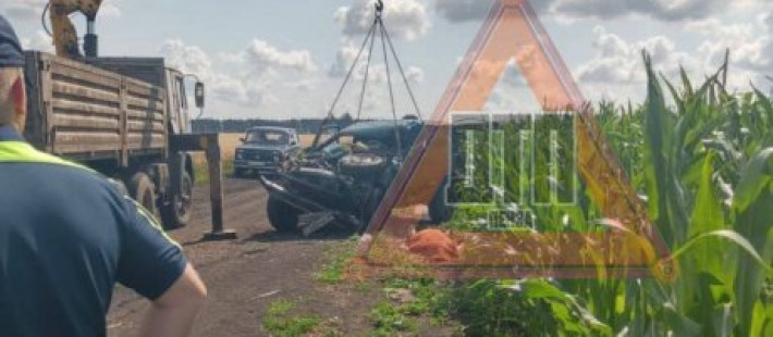 Скончался на месте. В Колышлейском районе погиб водитель столкнувшейся с грузовиком Нивы Скончался на месте. В Колышлейском районе погиб водитель столкнувшейся с грузовиком Нивы