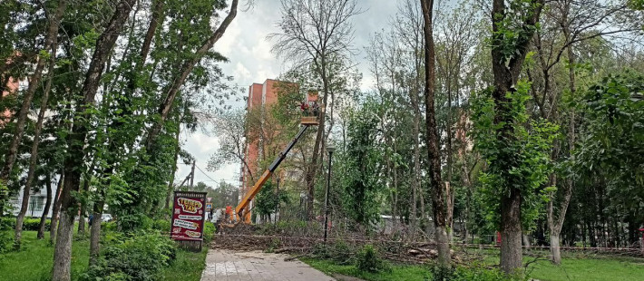 В пензенском микрорайоне Арбеково спиливают деревья