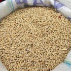 В Пензенской области рецидивисты похитили со склада 360 килограмм пшеницы