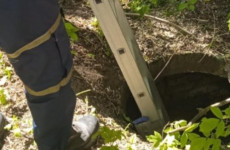 В Пензе собака оказалась в западне после падения в двухметровый колодец 