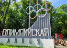 Жители Пензы возмущены продажей алкогольного мороженного 18+ на Олимпийской аллее