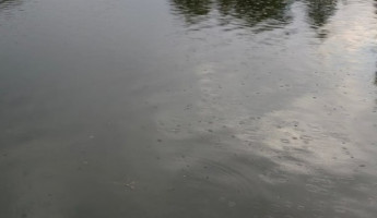 В Пензенской области вытащили из реки труп пожилого мужчины