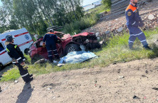 Опубликованы ужасающие фото с места смертельного ДТП под Пензой