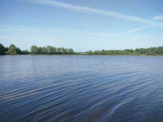В Пензенской области достали из пруда мертвого человека