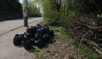 Мусор на вывоз: как Пензенская область борется с несанкционированными свалками