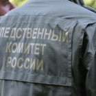 В Пензе мужчина с особой жестокостью расправился с 91-летней матерью
