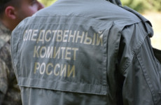 В Пензе мужчина с особой жестокостью расправился с 91-летней матерью