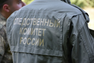 В Пензе мужчина с особой жестокостью расправился с 91-летней матерью