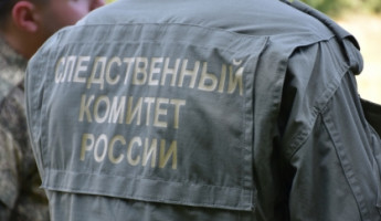В Пензе мужчина с особой жестокостью расправился с 91-летней матерью