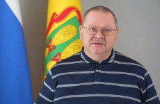 Мельниченко: на территории пензенского предприятия взорвалось 9 дронов