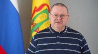 Мельниченко: на территории пензенского предприятия взорвалось 9 дронов