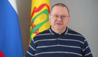 Мельниченко: на территории пензенского предприятия взорвалось 9 дронов
