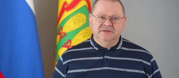 Мельниченко: на территории пензенского предприятия взорвалось 9 дронов