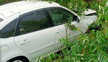 Служба спасения эвакуировала 3-х пострадавших с места ДТП в Пензенской области