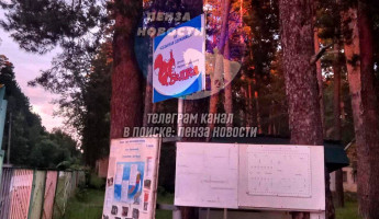 Жительница Пензы рассказала о массовом отравлении детей в лагере Белка