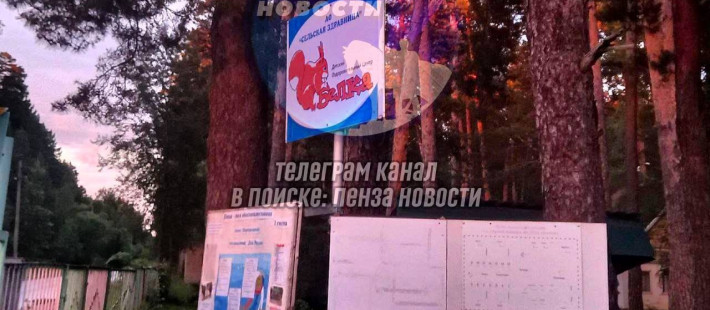 Жительница Пензы рассказала о массовом отравлении детей в лагере Белка Жительница Пензы рассказала о массовом отравлении детей в лагере Белка