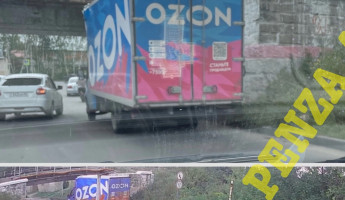 В Пензе под мостом Винни-Пуха застряла очередная ГАЗель