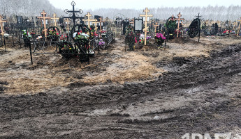 Договоры без конкуренции и любовь к наличным: какие нарушения нашли в бывшем МУПе «Спецбюро»