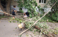 В Пензе во время урагана дерево упало на пенсионерку