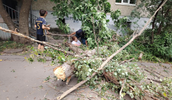 В Пензе во время урагана дерево упало на пенсионерку
