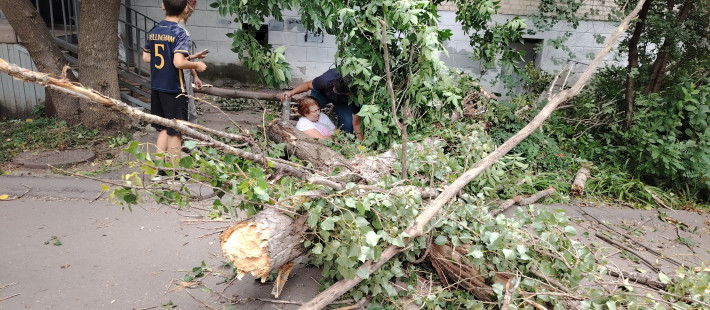 В Пензе во время урагана дерево упало на пенсионерку