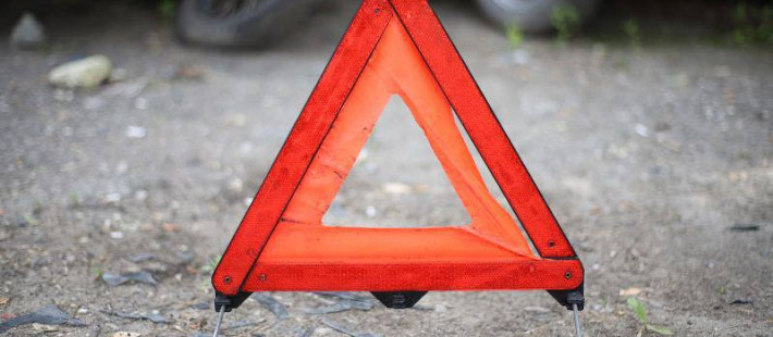 В Пензенской области пенсионер на иномарке врезался в дерево, есть пострадавшая