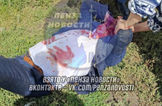 Следователи начали проверку по факту нападения на главу Каменского района