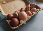 В Пензенской области подешевели некоторые продукты